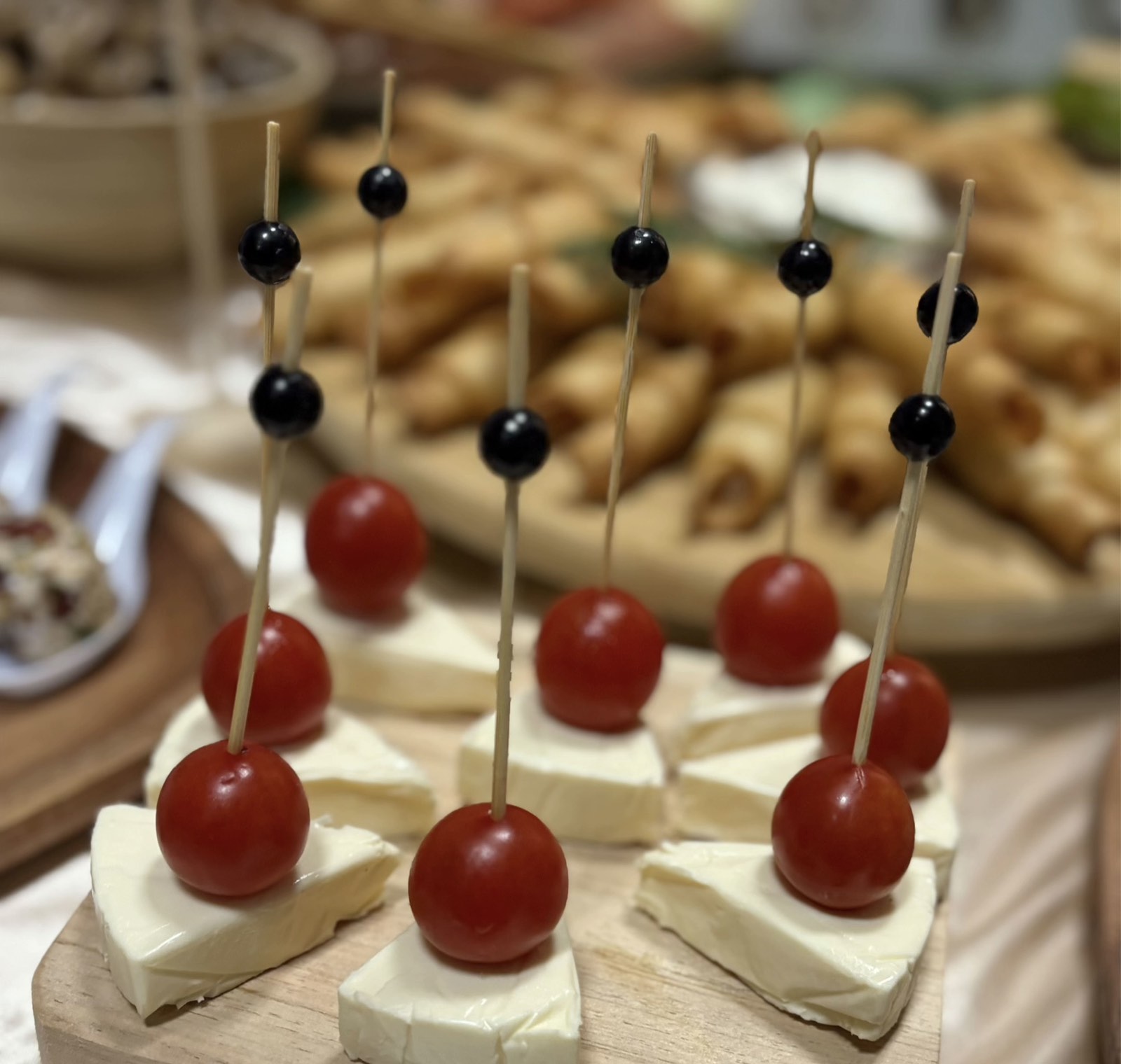 Balkan Bites catering